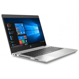 Ноутбук HP ProBook 445 G7 (1F3K8EA), серебристый