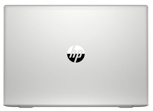 Ноутбук HP ProBook 455 G7 (1F3M4EA) фото 7