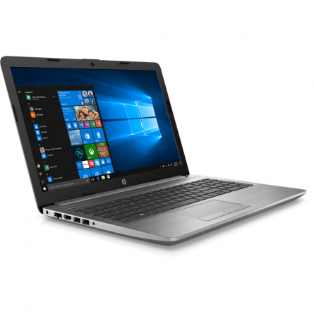 Ноутбук HP 250 G7 (175T3EA), asteroid silver фото 3