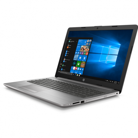 Ноутбук HP 250 G7 (175T3EA), asteroid silver фото 2