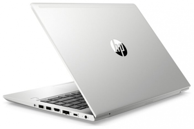 Ноутбук HP ProBook 445 G7 (175W4EA), серебристый фото 4