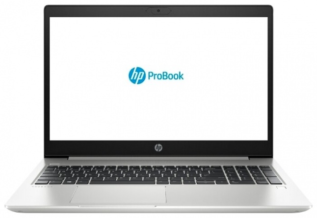 Ноутбук HP ProBook 450 G7(2D345ES) (2D345ES) фото 1