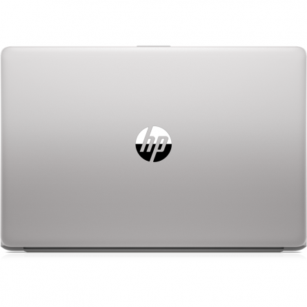 Ноутбук HP 250 G7 (175T3EA), asteroid silver фото 4