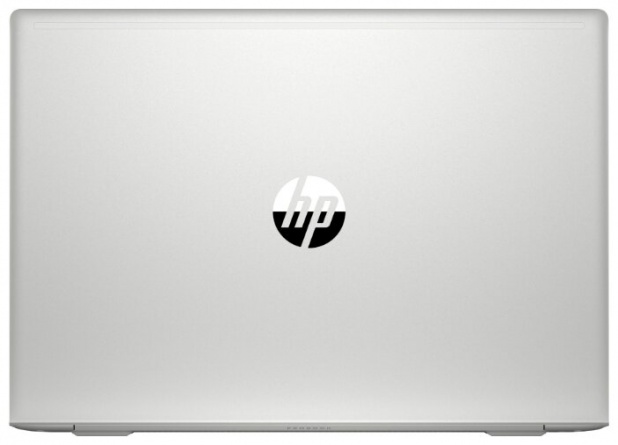 Ноутбук HP ProBook 450 G7(2D345ES) (2D345ES) фото 7