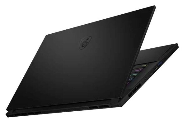 Ноутбук MSI GS66 Stealth 10SFS-249RU (9S7-16V112-249), черный фото 4